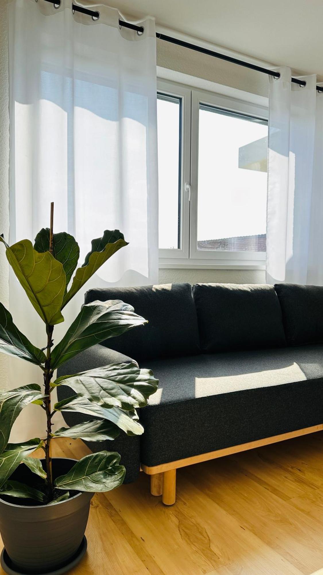 Amao-Sepia I 86Qm I King-Size Beds I Netflix I Privat Balcony I Free Parking I Near Europapark Leilighet Rheinhausen Eksteriør bilde